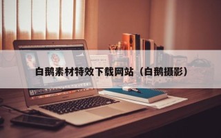 商水白鹅素材特效下载网站（白鹅摄影）